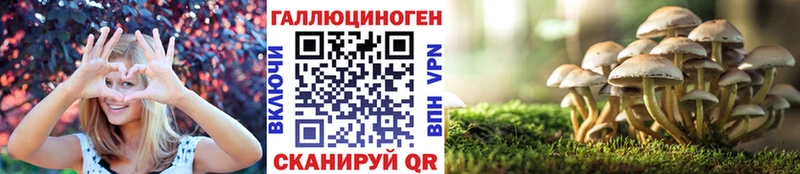 Псилоцибиновые грибы MAGIC MUSHROOMS  как найти закладки  Гай 