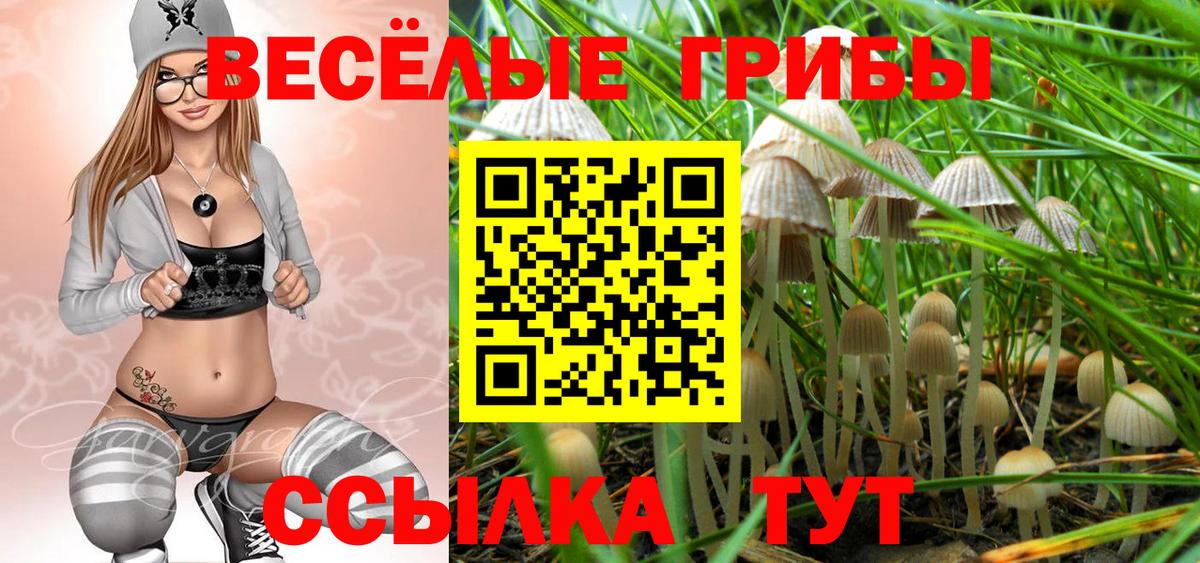 купить наркотик  Псилоцибиновые грибы MAGIC MUSHROOMS  Вход с VPN  Гай 